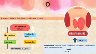 HIPERTIROIDISM
O
Aumento de la Actividad de la Glándula Tiroides
T4 y T3
Tirotoxicosis: síndrome clínico causado por una elevada concentración
de las hormonas tiroideas.
T4>T3
TBG
Nerviosismo
Pérdida de
peso
Insomnio
Intolerancia al Calor
Taquicardia
Características
Clínicas
 