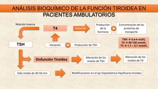 ANÁLISIS BIOQUÍMICO DE LA FUNCIÓN TIROIDEA EN
PACIENTES AMBULATORIOS
T4
Producción
de la
hormona
Concentración de las
proteínas de
transporte
Depende
Variación Producción de TSH
TSH
Relación Inversa
Disfunción Tiroidea
Modificaciones en el eje hipotalámico-hipofisario-tiroideo
Vida media de 30-50 min
Alteración de los
niveles de TSH
Alteración de los
niveles de T4
TSH  0,4-4 mUI/L
T4  60-150 nmol/L
T3  1,1 – 2,7 nmol/L
 