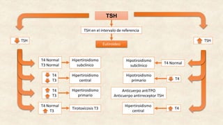 TSH
TSH en el intervalo de referencia
Eutiroideo
TSH TSH
T4 Normal
T3 Normal
T4
T3
T4
T3
T4 Normal
T3
Hipertiroidismo
subclínico
Hipertiroidismo
central
Hipertiroidismo
primario
Tirotoxicosis T3
T4 Normal
T4
T4
Anticuerpo antiTPO
Anticuerpo antirreceptor TSH
Hipotiroidismo
subclínico
Hipotiroidismo
primario
Hipertiroidismo
central
 