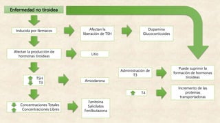 Enfermedad no tiroidea
Inducida por fármacos Afectan la
liberación de TSH
Dopamina
Glucocorticoides
Afectan la producción de
hormonas tiroideas
Litio
TSH
T3
Amiodarona
Concentraciones Totales
Concentraciones Libres
Fenitoína
Salicilatos
Fenilbutazona
Administración de
T3
Puede suprimir la
formación de hormonas
tiroideas
T4
Incremento de las
proteínas
transportadoras
 