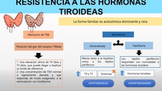 RESISTENCIA A LAS HORMONAS
TIROIDEAS
Afectación de TRβ
La forma familiar es autosómica dominante y rara
Mutación del gen del receptor TRbeta
1. Una elevación sérica de T4 libre y
T3 libre, que puede llegar a duplicar
su límite de referencia
2. Una concentración de TSH normal
o ligeramente elevada y que
responde, de modo exagerado, a la
estimulación con tiroliberina
Resistencia
Generalizada Hipofisaria
Afecta tanto a la hipófisis
como a los tejidos
periféricos
T4 y T3 Síntomas
Los tejidos periféricos
responden con normalidad a
las hormonas tiroideas
Hormonas tiroideas
HIPOTIROIDEOS HIPERTIROIDISMO
 