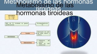 Metabolismo de las hormonas
tiroideas
VIDA MEDIA
T4 → 7 días
T3 → 1 día
80% de T3 circulante se genera
periféricamente
Por desyodación de
T4
DESYODASAS
Eliminación de yodo
del anillo interno y
externo.
Selenoenzimas
• Preferencia del
sustrato
• Tejido en que
predominan
Función
Metabolismo de las
hormonas tiroideas
 