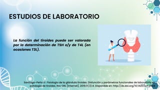ESTUDIOS DE LABORATORIO
La función del tiroides puede ser valorada
por la determinación de TSH o/y de T4L (en
ocasiones T3L).
Santiago-Peña LF. Fisiología de la glándula tiroides. Disfunción y parámetros funcionales de laboratorio en
patología de tiroides. Rev ORL [Internet]. 2019;11(3):4. Disponible en: http://dx.doi.org/10.14201/orl.21514
 