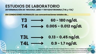 ESTUDIOS DE LABORATORIO
DETERMINACIÓN DE TIROXINA LIBRE Y TRIYODOTIRONINA (T4L y T3L)
EN CONDICIONES NORMALES: Las concentraciones totales de...
T3
T4
60 - 180 ng/dL
0.005 - 0.012 ng/dL
T3L 0.13 - 0.45 ng/dL
T4L 0.9 - 1.7 ng/dL
Tresguerres JAF. Tratado de Endocrinologia Basica y Clinica - 2 Vol. Sintesis Editorial; 2001.
Examen de T3 [Internet]. Medlineplus.gov. [citado el 14 de agosto de 2023]. Disponible en: https://medlineplus.gov/spanish/ency/article/003687.htm
Examen de T4 [Internet]. Medlineplus.gov. [citado el 14 de agosto de 2023]. Disponible en: https://medlineplus.gov/spanish/ency/article/003517.htm
 
