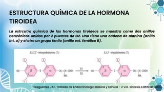 ESTRUCTURA QUÍMICA DE LA HORMONA
TIROIDEA
La estrcutra química de las hormonas tiroideas se muestra como dos anillos
bencénicos unidos por 2 puentes de O2. Uno tiene una cadena de alanina (anillo
int. a) y el otro un grupo fenilo (anillo ext. fenólico B).
Tresguerres JAF. Tratado de Endocrinologia Basica y Clinica - 2 Vol. Sintesis Editorial; 2001.
 