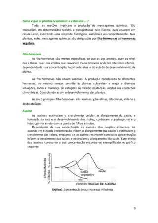 9
Como é que as plantas respondem a estímulos … ?
Todas as reações implicam a produção de mensageiros químicos. São
produzidos em determinados tecidos e transportadas pelo floema, para atuarem em
células-alvo, exercendo uma resposta fisiológica, anatómica ou comportamental. Nas
plantas, estes mensageiros químicos são designadas por fito-hormonas ou hormonas
vegetais.
Fito-hormonas
As fito-hormonas são menos específicas do que as dos animais, quer ao nível
das células, quer nos efeitos que provocam. Cada hormona pode ter diferentes efeitos,
dependendo da sua concentração, local onde atua e do estado de desenvolvimento da
planta.
As fito-hormonas não atuam sozinhas. A produção coordenada de diferentes
hormonas, ao mesmo tempo, permite às plantas sobreviver e reagir a diversas
situações, como a mudança de estações ou mesmo mudanças súbitas das condições
climatéricas. Controlando assim o desenvolvimento das plantas.
As cinco principais fito-hormonas são: auxinas, giberelinas, citocininas, etileno e
ácido abcísico.
Auxina
As auxinas estimulam o crescimento celular, o alongamento do caule, a
formação da raiz e o desenvolvimento dos frutos; controlam o geotropismo e o
fototropismo e retardam a queda de folhas e frutos.
Dependendo da sua concentração as auxinas têm funções diferentes. As
auxinas em elevada concentração inibem o alongamento dos caules e estimulam o
crescimento das raízes, enquanto se as auxinas estiverem com baixa concentração
inibem o crescimento das raízes e estimulam o alongamento do caule. Este efeito
das auxinas consoante a sua concentração encontra-se exemplificado no gráfico
seguinte:
Gráfico1- Concentraçãode auxinase sua influência
 