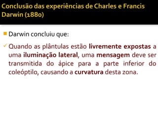  Darwin concluiu que:
 Quando as plântulas estão livremente expostas a
uma iluminação lateral, uma mensagem deve ser
transmitida do ápice para a parte inferior do
coleóptilo, causando a curvatura desta zona.
 