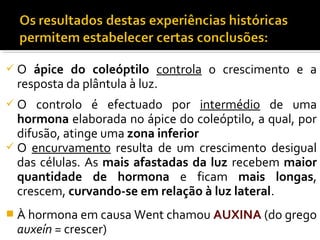  O ápice do coleóptilo controla o crescimento e a
resposta da plântula à luz.
 O controlo é efectuado por intermédio de uma
hormona elaborada no ápice do coleóptilo, a qual, por
difusão, atinge uma zona inferior
 O encurvamento resulta de um crescimento desigual
das células. As mais afastadas da luz recebem maior
quantidade de hormona e ficam mais longas,
crescem, curvando-se em relação à luz lateral.
 À hormona em causa Went chamou AUXINA (do grego
auxeín = crescer)
 
