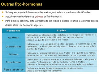  Subsequentemente à descoberta das auxinas, outras hormonas foram identificadas.
 Actualmente consideram-se 5 grupos de fito-hormonas.
 Para simples consulta, está apresentado em baixo o quadro relativo a algumas acções
desses 5 tipos de hormonas vegetais.
 