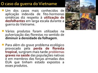  Um dos casos mais conhecidos de
aplicação indevida de fito-hormonas
sintéticas diz respeito à utilização de
desfolhantes em larga escala durante a
guerra do Vietname.
 Vários produtos foram utilizados na
pulverização das florestas no sentido de
diminuir a densidade da folhagem.
 Para além do grave problema ecológico
provocado pela perda de floresta
tropical, surgiram mais tarde problemas
graves na saúde das populações nativas
e em membros das forças armadas dos
EUA que tinham estado expostos a
esses produtos.
 