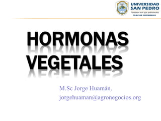 HORMONAS
VEGETALES
M.Sc Jorge Huamán.
jorgehuaman@agronegocios.org
 