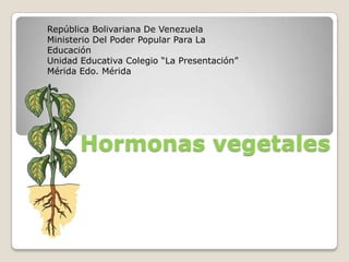 República Bolivariana De Venezuela	 Ministerio Del Poder Popular Para La Educación Unidad Educativa Colegio “La Presentación” Mérida Edo. Mérida	 Hormonas vegetales 