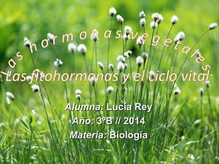 Alumna:Alumna: Lucía ReyLucía Rey
Año:Año: 3ºB // 20143ºB // 2014
Materia:Materia: BiologíaBiología
 