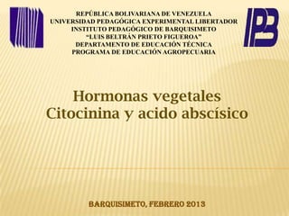 REPÚBLICA BOLIVARIANA DE VENEZUELA
UNIVERSIDAD PEDAGÓGICA EXPERIMENTAL LIBERTADOR
     INSTITUTO PEDAGÓGICO DE BARQUISIMETO
         “LUIS BELTRÁN PRIETO FIGUEROA”
      DEPARTAMENTO DE EDUCACIÓN TÉCNICA
     PROGRAMA DE EDUCACIÓN AGROPECUARIA




    Hormonas vegetales
Citocinina y acido abscísico




         BARQUISIMETO, febrero 2013
 