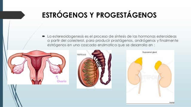 hormones and hormone antagonists