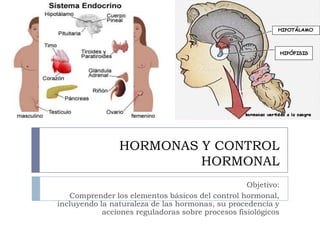 HORMONAS Y CONTROL
                         HORMONAL
                                                   Objetivo:
   Comprender los elementos básicos del control hormonal,
incluyendo la naturaleza de las hormonas, su procedencia y
            acciones reguladoras sobre procesos fisiológicos
 