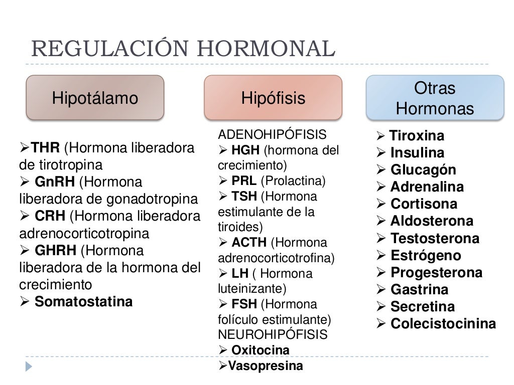 Hormonas y control hormonal