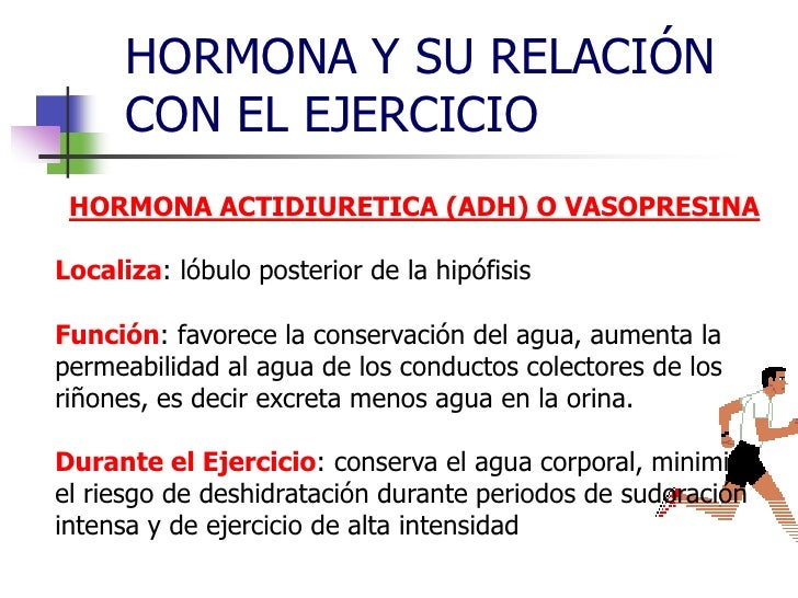 Image result for ejercicios para cambios hormonales