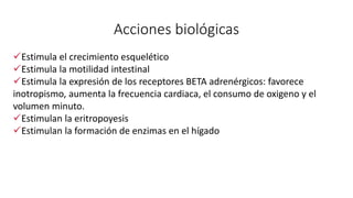 Acciones biológicas
Estimula el crecimiento esquelético
Estimula la motilidad intestinal
Estimula la expresión de los receptores BETA adrenérgicos: favorece
inotropismo, aumenta la frecuencia cardiaca, el consumo de oxigeno y el
volumen minuto.
Estimulan la eritropoyesis
Estimulan la formación de enzimas en el hígado
 