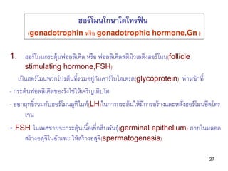 ฮอร์ โมนโกนาโดโทรฟิ น
       (gonadotrophin หรือ gonadotrophic hormone,Gn )


1. ฮอร์ โมนกระตุ้นฟอลลิเคิล หรื อ ฟอลลิเคิลส...