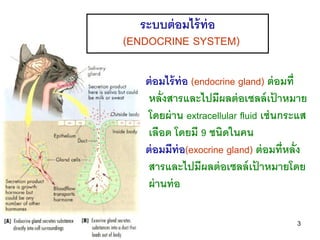 ระบบต่ อมไร้ ท่อ
(ENDOCRINE SYSTEM)

   ต่ อมไร้ ท่อ (endocrine gland) ต่ อมที่
    หลั่งสารและไปมีผลต่ อเซลล์ เปาหมาย้
  ...