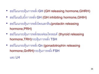 • ฮอร์ โมนกระตุ้นการหลัง GH (GH releasing hormone,GHRH)
                        ่
• ฮอร์ โมนยับยังการหลัง GH (GH inhibitin...