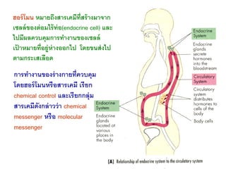ฮอร์ โมน หมายถึงสารเคมีท่ สร้ างมาจาก
                            ี
เซลล์ ของต่ อมไร้ ท่อ(endocrine cell) และ
ไปมีผลควบคุม...