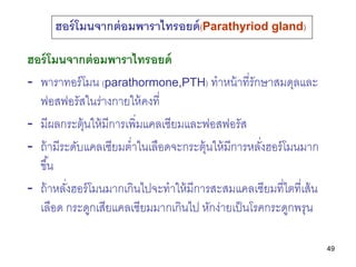 ฮอร์ โมนจากต่ อมพาราไทรอยด์ (Parathyriod gland)

ฮอร์ โมนจากต่ อมพาราไทรอยด์
- พาราทอร์ โมน (parathormone,PTH) ทาหน้ าที่ร...