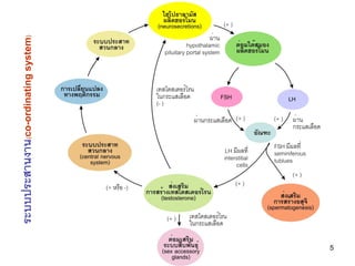 ระบบประสานงาน(co-ordinating system)




5
 