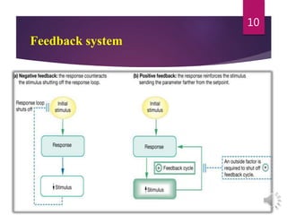 Feedback system
10
 