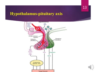 Hypothalamus-pituitary axis
13
 