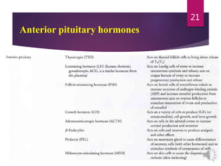 Anterior pituitary hormones
21
 