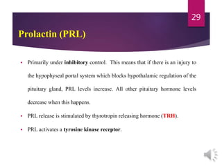 Prolactin (PRL)
 Primarily under inhibitory control. This means that if there is an injury to
the hypophyseal portal system which blocks hypothalamic regulation of the
pituitary gland, PRL levels increase. All other pituitary hormone levels
decrease when this happens.
 PRL release is stimulated by thyrotropin releasing hormone (TRH).
 PRL activates a tyrosine kinase receptor.
29
 