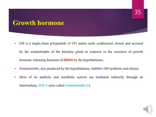  GH is a single-chain polypeptide of 191 amino acids synthesized, stored, and secreted
by the somatotrophs of the pituitary gland in response to the secretion of growth
hormone–releasing hormone (GHRH) by the hypothalamus.
 Somatostatin, also produced by the hypothalamus, inhibits GH synthesis and release.
 Most of its anabolic and metabolic actions are mediated indirectly through an
intermediary, IGF-1 (also called somatomedin C).
35
Growth hormone
 