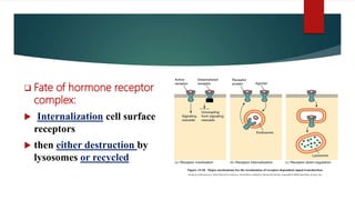 Hormone Action and Signal Transduction.pptx