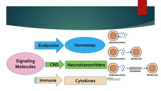 Hormone Action and Signal Transduction.pptx