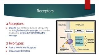 Hormone Action and Signal Transduction.pptx