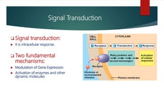 Hormone Action and Signal Transduction.pptx