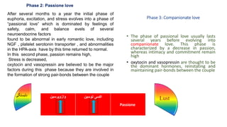 Phase 3: Companionate love
• The phase of passional love usually lasts
several years before evolving into
companionate love. This phase is
characterized by a decrease in passion,
whereas intimacy and commitment remain
high
• oxytocin and vasopressin are thought to be
the dominant hormones, reinstating and
maintaining pair-bonds between the couple
‫دلبستگی‬
Lust
After several months to a year the initial phase of
euphoria, excitation, and stress evolves into a phase of
“passional love” which is dominated by feelings of
safety, calm, and balance evels of several
neuroendocrine factors
found to be abnormal in early romantic love, including
NGF , platelet serotonin transporter , and abnormalities
in the HPA-axis have by this time returned to normal.
In this second phase, passion remains high,
Stress is decreased,
oxytocin and vasopressin are believed to be the major
factors during this phase because they are involved in
the formation of strong pair-bonds between the couple
Phase 2: Passione love
‫وازوپرسین‬ ‫توسین‬ ‫اکسی‬
Passione
 