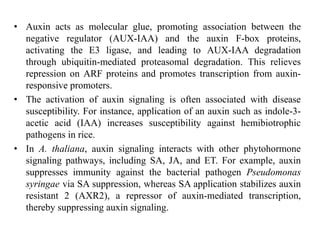 Hormone crosstalk in plant disease and defense | PPTX