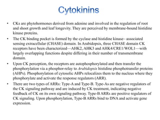 Hormone crosstalk in plant disease and defense | PPTX