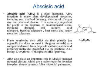 Hormone crosstalk in plant disease and defense | PPTX