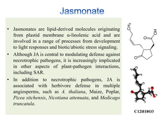 Hormone crosstalk in plant disease and defense | PPTX