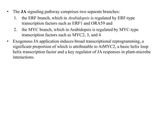 Hormone crosstalk in plant disease and defense | PPTX
