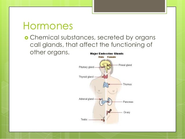 Hormones pp