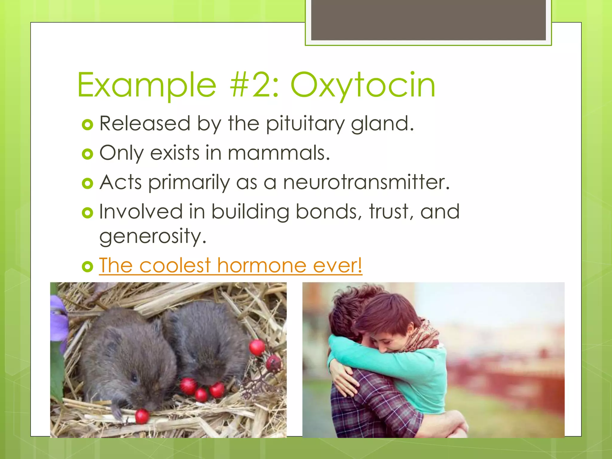 Example #2: Oxytocin
 Released by the pituitary gland.
 Only exists in mammals.
 Acts primarily as a neurotransmitter.
 Involved in building bonds, trust, and
generosity.
 The coolest hormone ever!
 