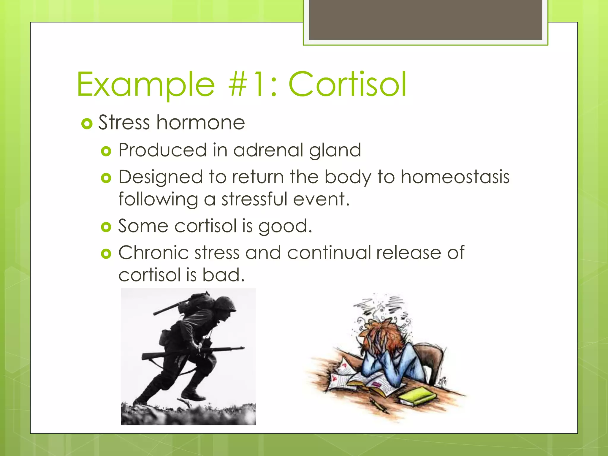 Example #1: Cortisol
 Stress hormone
 Produced in adrenal gland
 Designed to return the body to homeostasis
following a stressful event.
 Some cortisol is good.
 Chronic stress and continual release of
cortisol is bad.
 