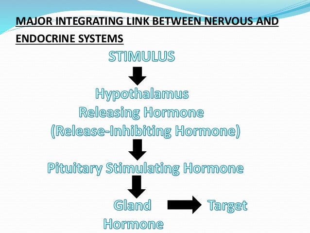 Biochemistry Of Hormones