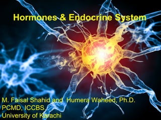 Hormones & Endocrine System
M. Faisal Shahid and Humera Waheed, Ph.D.
PCMD, ICCBS.
University of Karachi
 