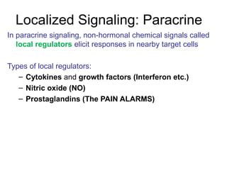 Hormones | PPT